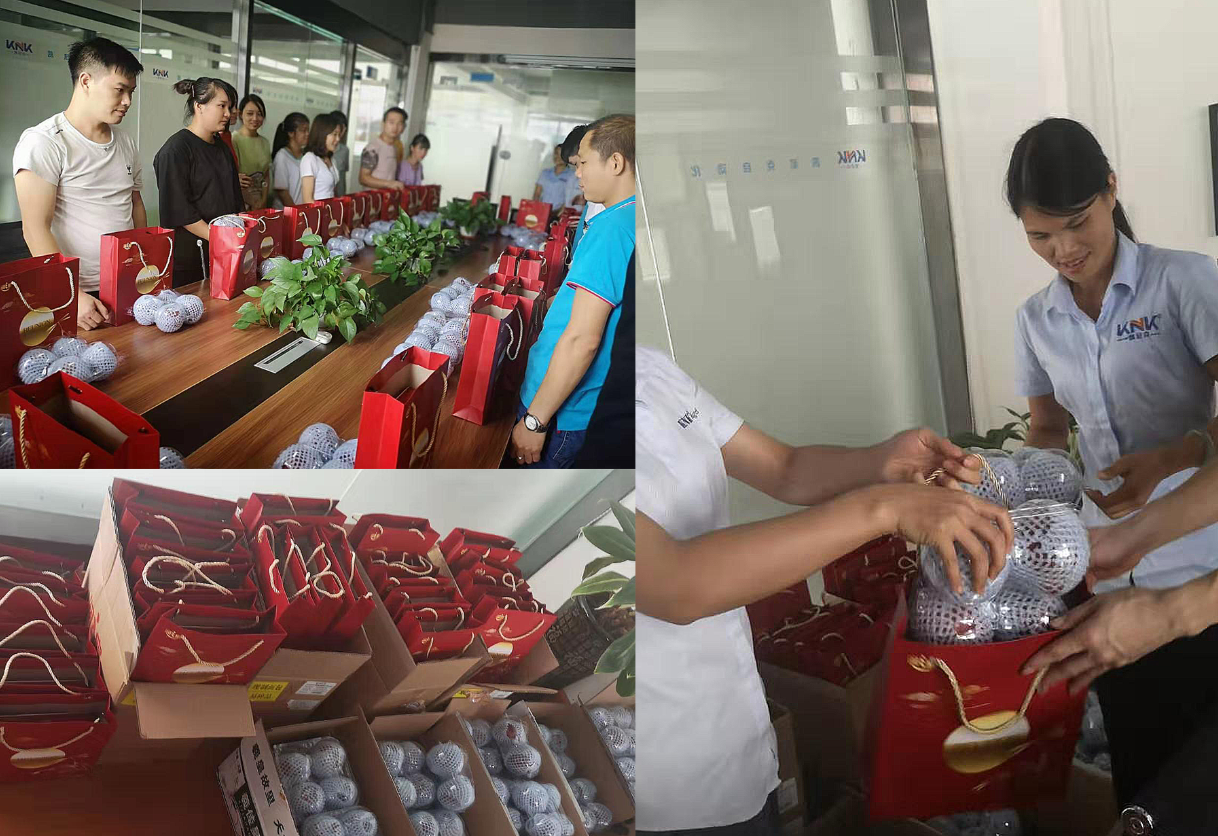 直線模組, 皮帶模組, 同步帶模組